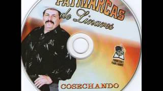 Video thumbnail of "Los Patriarcas de Linares/ 02_ El correlon."