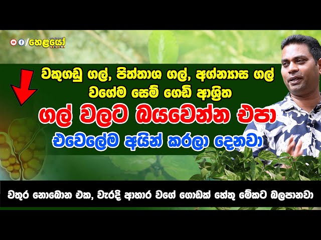 ගල් වලට බයවෙන්න එපා කපන්නේ කොටන්නේ නැතුව පැය කිහිපයකින් අයින් කරනවා