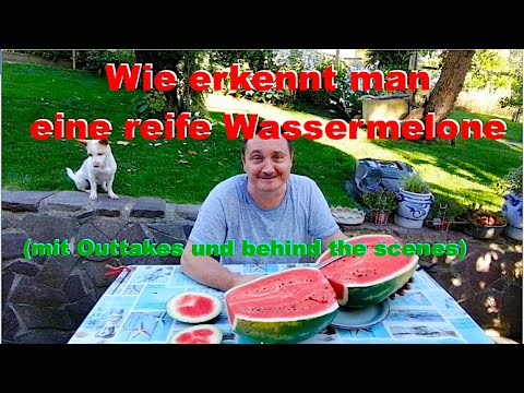 Video: Wie Erkenne Ich Eine Reife Wassermelone