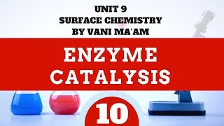 Enzyme Catalysis|Part 10 |Cbse grade 12 surface chemistry|Unit 5 |tricks |Vani ma'am