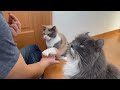 オヤツタイムのお手