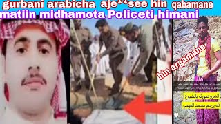 #gurbaan#arabichaa#ajjee**seee#hangaa ammaa hin argamanee matiin midhamanii polisiitii himani kuno😭