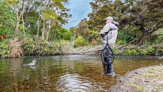Taupo Winter Euro Nymphing Success