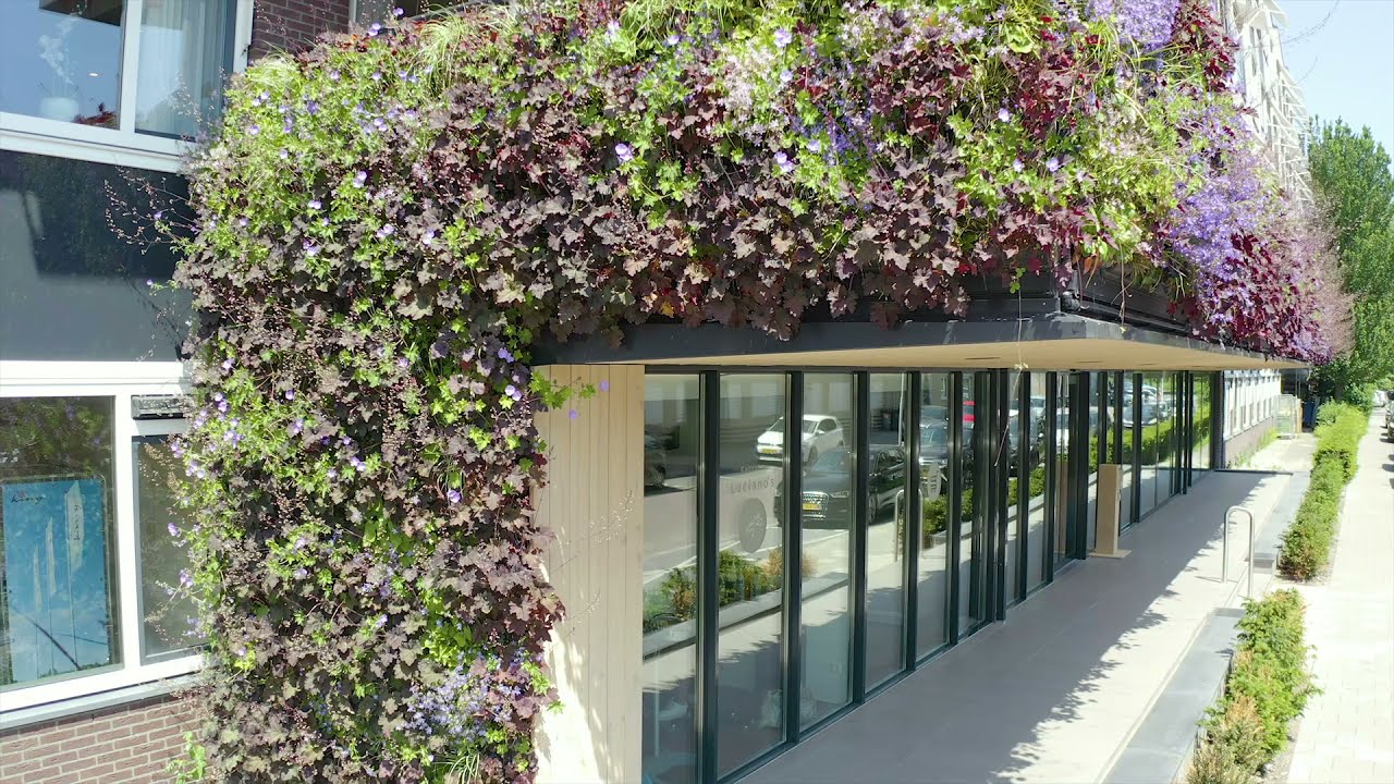 Een groen balkon bedekt met planten bij woon- en zorgcentrum Pennemes te Zaandam