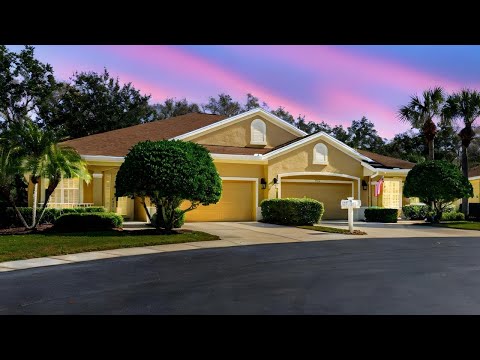 12705 Aston Creek Dr, Tampa, FL home video tour
