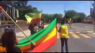Protest Against The Candidacy of  Dr. Tedros Adhanom for WHO DG Switzerland, Geneva (UN)