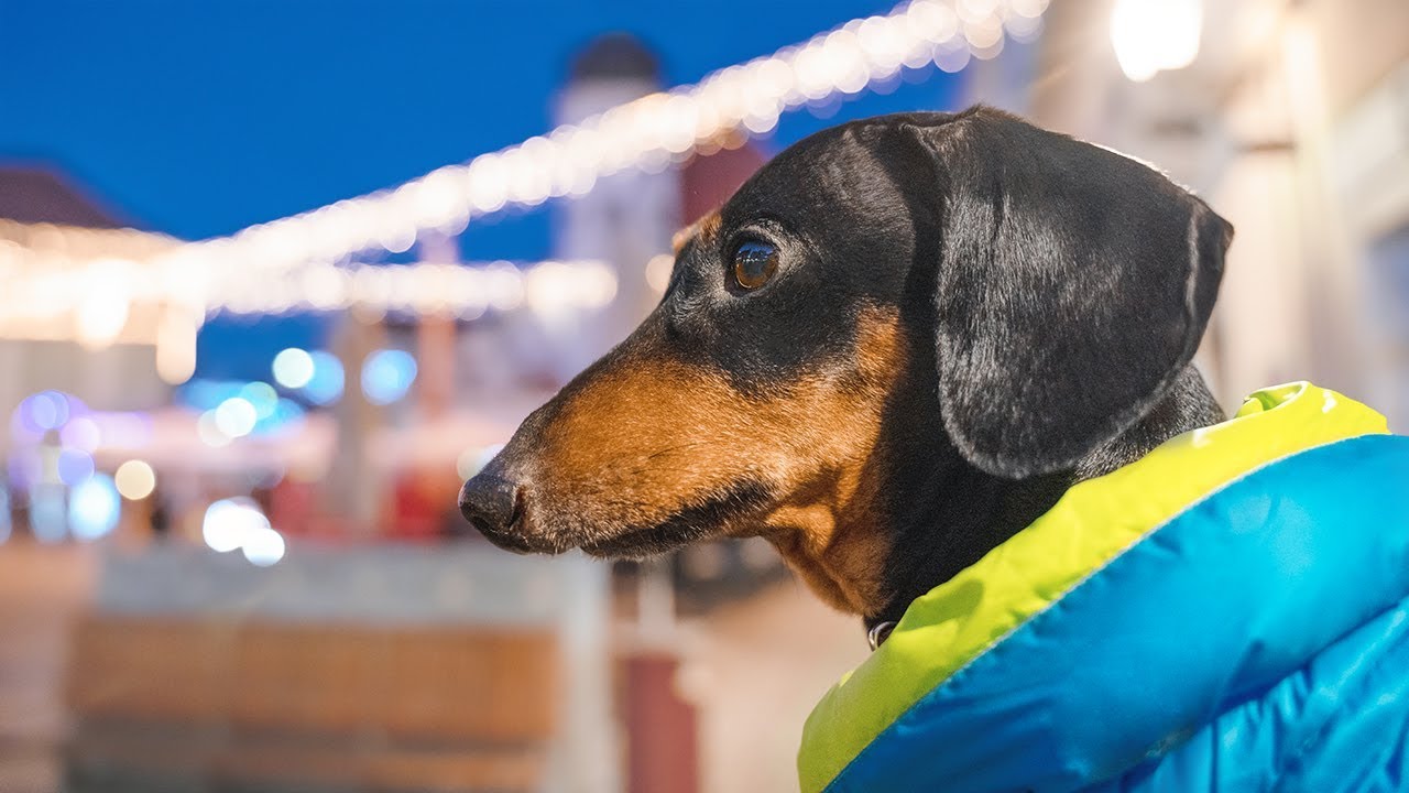 Чудный город Марибор! - YouTube