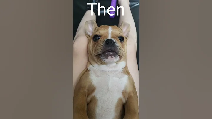 Our little Monster Then and Now