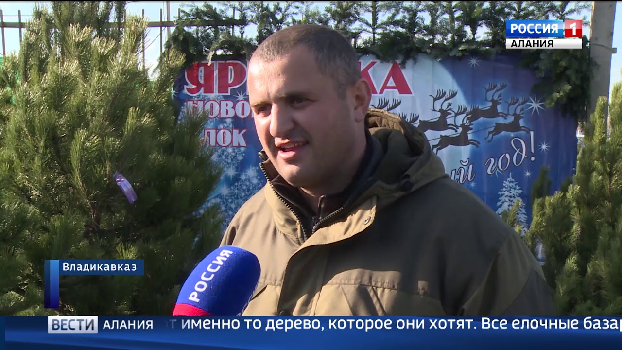 Разбор иномарок владикавказ