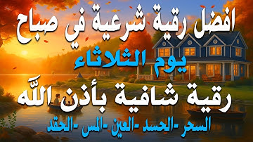 أفضل رقية شرعية في صباح يوم الثلاثاء علاج الحسد السحر العين  حفظ وتحصين للمنزل  القارئ علاء عقل