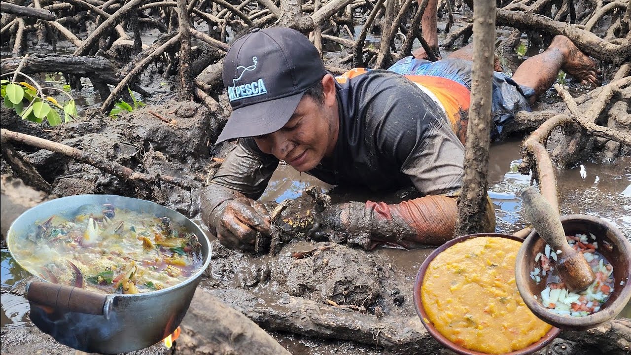 Aventura no mangue (captura e preparo) de caranguejo uçá