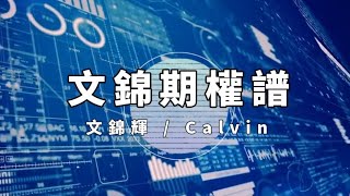Raga Finance:文錦期權譜 20210325-- 主持 : 文錦輝 (艾德証券期貨有限公司 投資策略總監)