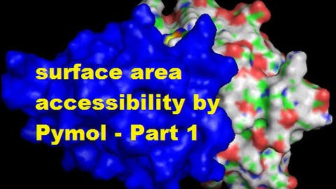 surface area accessibility by Pymol - Part 1