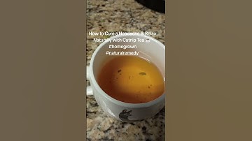 Homemade Catnip Tea for Anxiety & Migraine Headache Relief w/Mother Nature #naturalhealing #organic