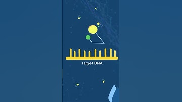 Probe-Based qPCR vs. Dye-Based qPCR