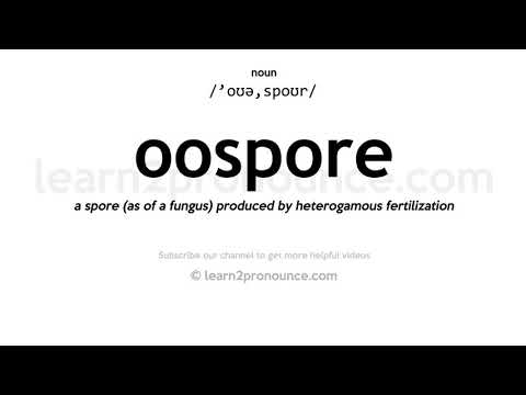 Произношение ооспора | Определение Oospore
