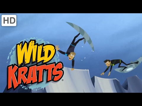 Wild Kratts - Animal Love