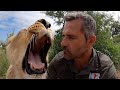 Grieving with Meg #AskMeg | The Lion Whisperer