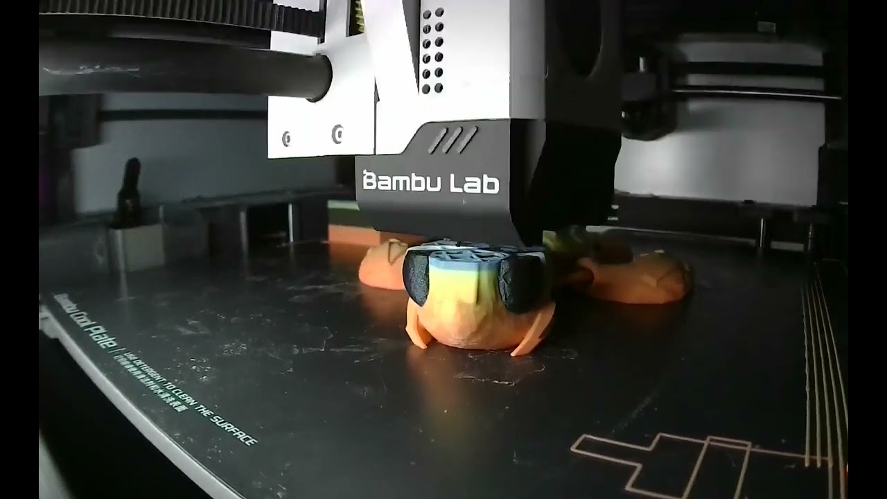 bambu timelapse 