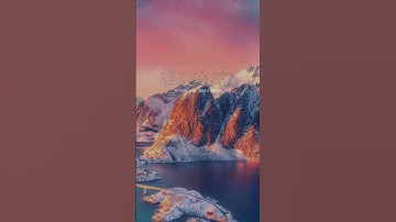 سورة النصر للقارئ غسان الشوربجي