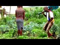 How Zulu man approach Zulu virgin girl || Short Film || Zulu Movie