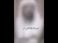حالات واتس اب حزينة جدا لا يدخل الجنة قاطع الرحم كلام مؤثر جميل يبكي