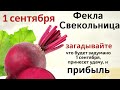 Не ходите сегодня босиком по дому и приготовьте свеклу и яйца. Родительская защита для школьников