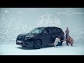 Subaru Forester Sport: весь во внимании