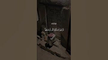 اكتب شيء تؤجر عليه 🤍😴||سورة الجاثية ماهر المعيقلي 🎧