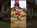 kucing oyen gatal #shorts #trending #funny #fyp