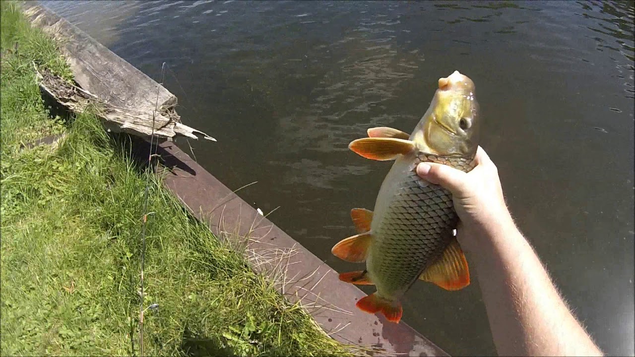 Chase Baits The Smuggler Test Run & A Few Fishing Clips 