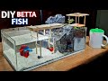 Make A Diorama Betta Fish Aquarium Decoration