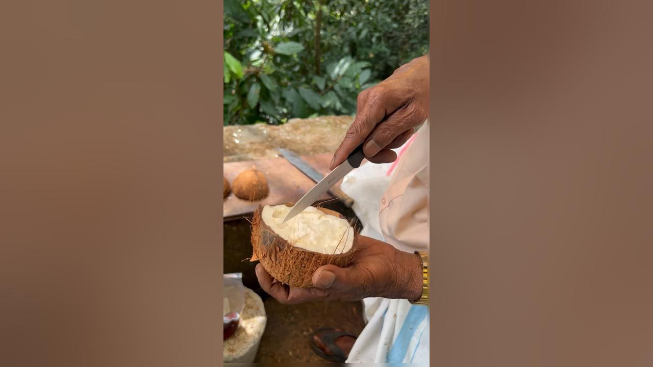 Famous Fruit Of Kerala Sprouted Coconut Coconut Flower Coconut Apple famous-fruit-of-kerala-sprouted-coconut-coconut-flower-coconut-apple