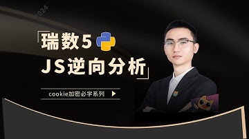【补环境+扣代码】全网最详细的深圳大学瑞数5实战解析！cookie加密/JS逆向/爬虫逆向