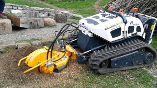 Wurzelstockfräsen Hymach Herbhy 40C Kappeler Lohnunternehmen