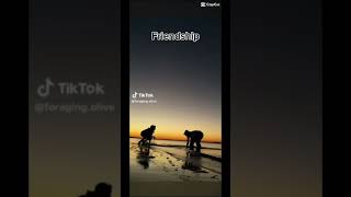 #therian #theriantropy #quadrobics ...