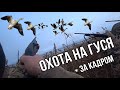 Охота на гуся без купюр, + закадровый быт