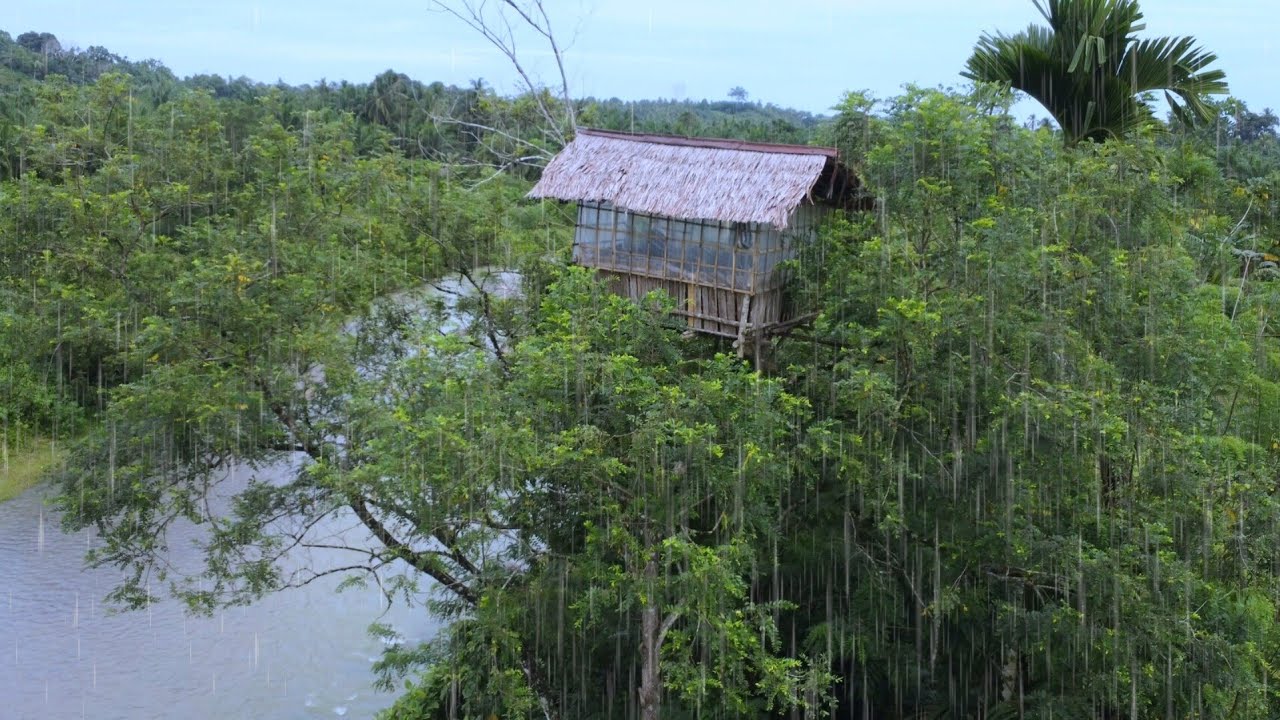 Кемпинг под сильным дождем — кемпинг в уютном старом домике на дереве