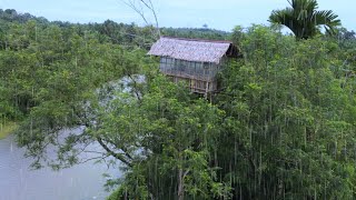 Heavy Rain Camping - Camping in a Cozy Old Tree House Shelter