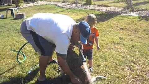 video2013-05-05-...