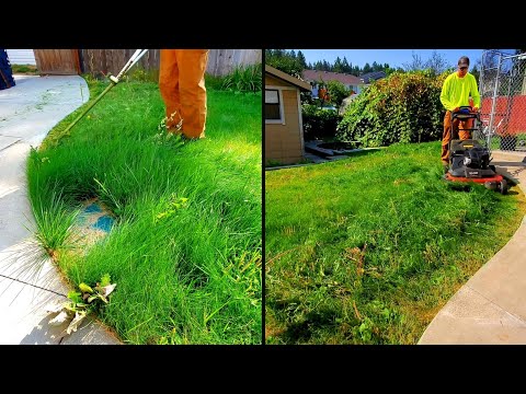 New Homeowner Of My Childhood Home Gets A FREE Lawn Cleanup (MEMORIES)