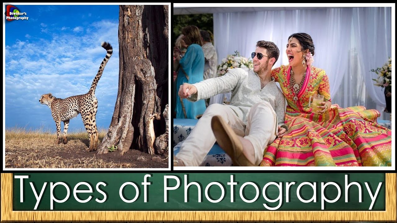 Types Of Photography Landscape Portrait Wildlife Wedding Macro Photogrpahy In Hindi 