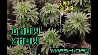 weed Plant Cannabis Grow Show end of 1st Month W/Mars Hydro