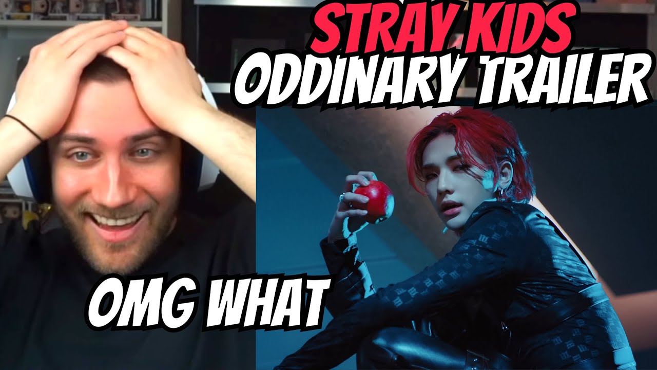 THIS IS A MOVIE!! Stray Kids 
