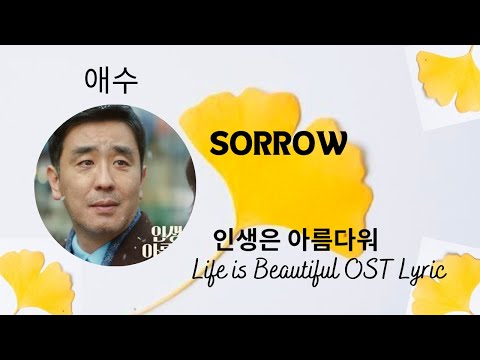 Life is Beautiful OST l Ryu Seung Ryong (류승룡) Sorrow (애수) 인생은 아름다워 ost Lyrics