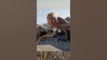 Eco-social designer Henriette Waal on design that thinks with bioregions | STIRworld.com