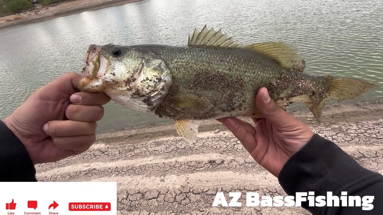 Fall Bass Fishing w/ Paulino