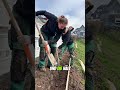 Neue Hecke für den Hang in Kürten