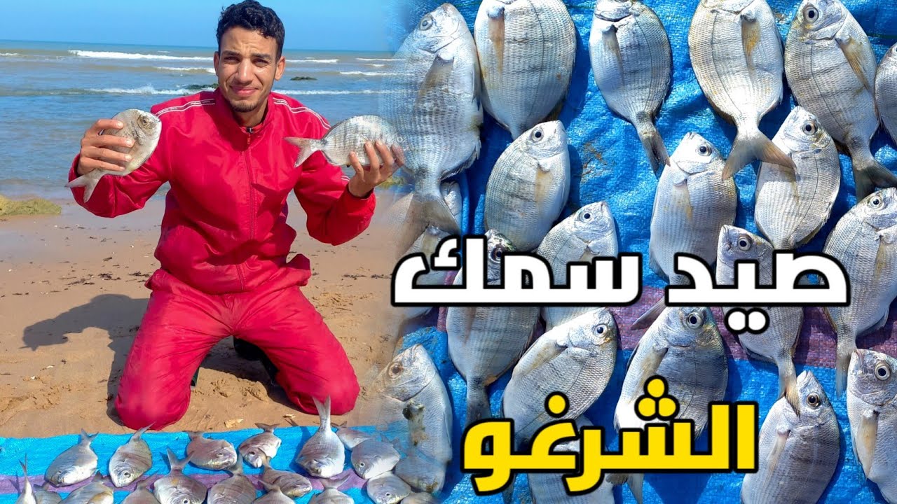 رحلة صيد السمك بمصيد اوزيوالت جنوب مدينة بوجدور