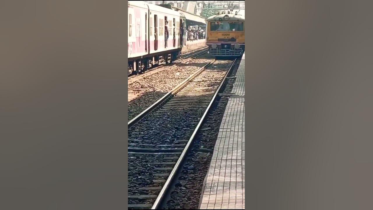#dj #remix #party #trending #music #train #dj #remix #party #trending #music #train